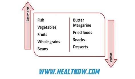 Atherosclerosis Treatment with the latest methods - Treatment of diseases symptoms | treatment ...