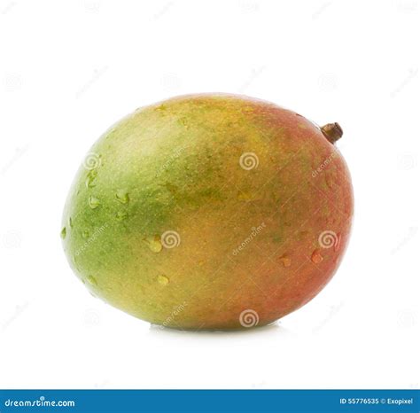 Single Mango Fruit Isolated Stock Image - Image of food, organic: 55776535