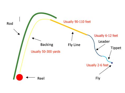 Leader vs. Tippet vs. Fly Line | Fly Line & Tippets Explained