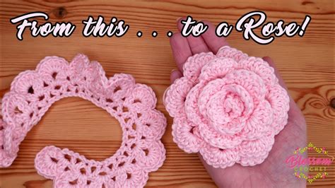 Free Crochet Rose Flower Pattern | Best Flower Site