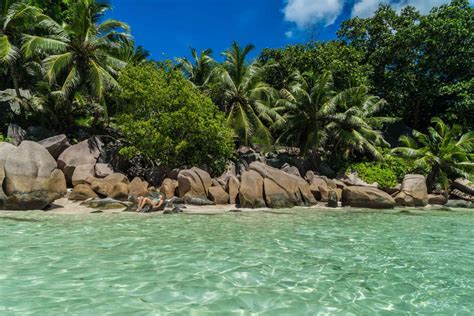 Seychelles Snorkeling: amazing marine life in Seychelles