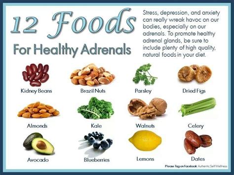 Adrenal Body Type Diet - DIETZC