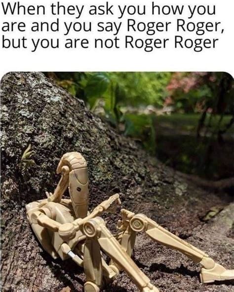 Roger Roger | r/PrequelMemes | Prequel Memes | Star wars humor, Star wars memes, Star wars jokes