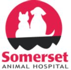 Best Veterinary Hospital in Somerset, WI - Somerset Animal Hospital