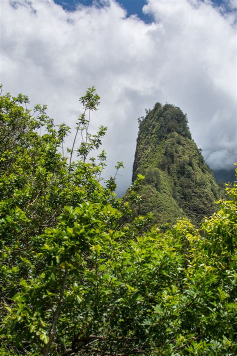 Iao Valley State Park - Flashes of Delight