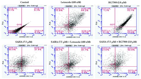 Apoptosis, necrosis, and necroptosis analysis by flow cytometry using ...