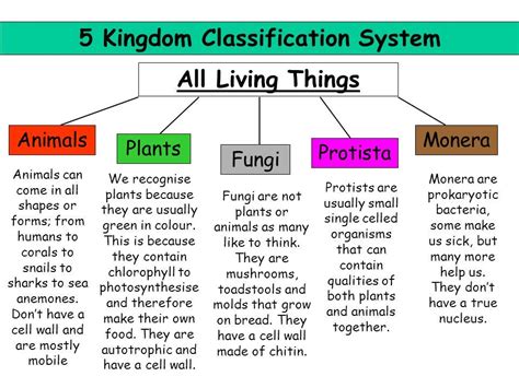 5 Kingdom Classifications Of Organisms Unbiased 5 Kingdoms Of Classification | Science notes ...