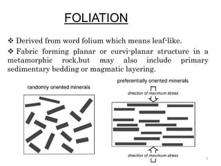 Foliation | PPT