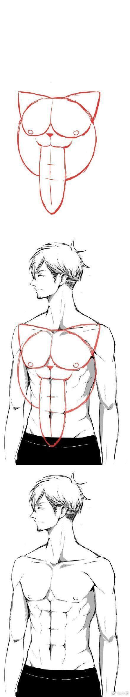 How To Draw Anime Girl Torso | Images and Photos finder