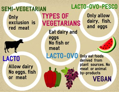 The Different Types of Vegetarian Diet