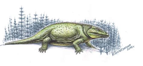 Eryops | Dinosaurs - Pictures and Facts