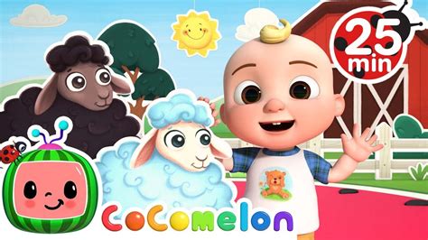 Baa Baa Black Sheep Dance | Dance Party | + More Nursery Rhymes & Kids Songs - CoComelon - YouTube