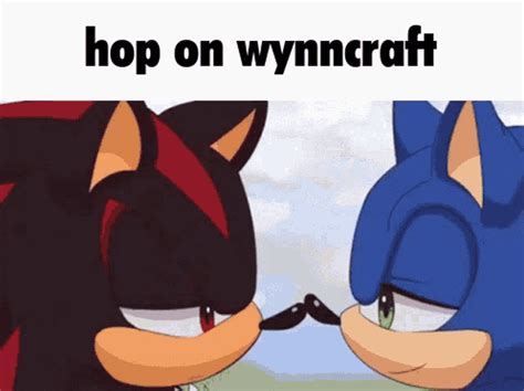 Wynncraft Shadow The Hedgehog GIF - Wynncraft Shadow The Hedgehog Sonic The Hedgehog - Descubre ...