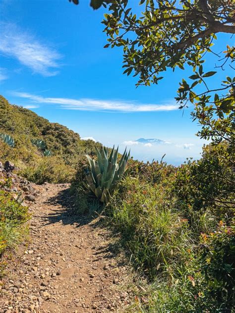 Hiking Santa Ana Volcano in El Salvador