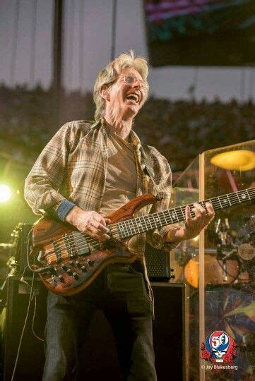 Phil Lesh @ 7/4/15 GD50 | Grateful dead, Grateful dead image, Dead pictures