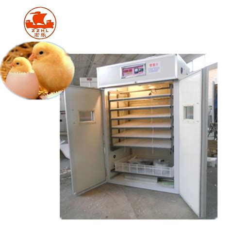 Quail Egg Incubator 0086-15514501052 - Buy Quail Egg Incubator,Egg ...