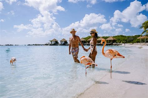 15 Best Resorts In Aruba For Adults (+All-Inclusive Options)