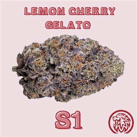 Lemon Cherry Gelato S1