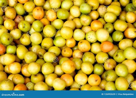 High Quality Crispy Winter Jujube Jujube Stock Image - Image of quality ...