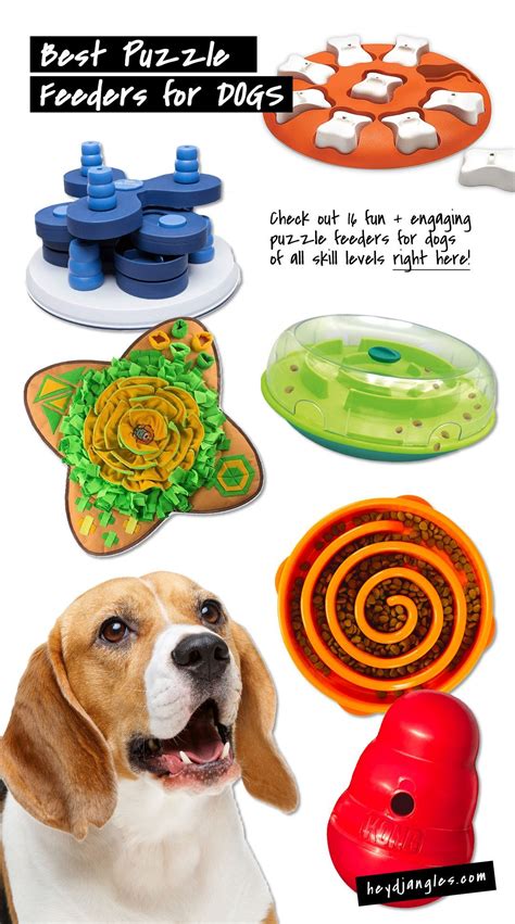 16 Best Puzzle Feeders for Dogs of All Skill Levels - feat. popular interactive dog toy brands ...