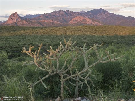 tucson santa rita mountains arizona