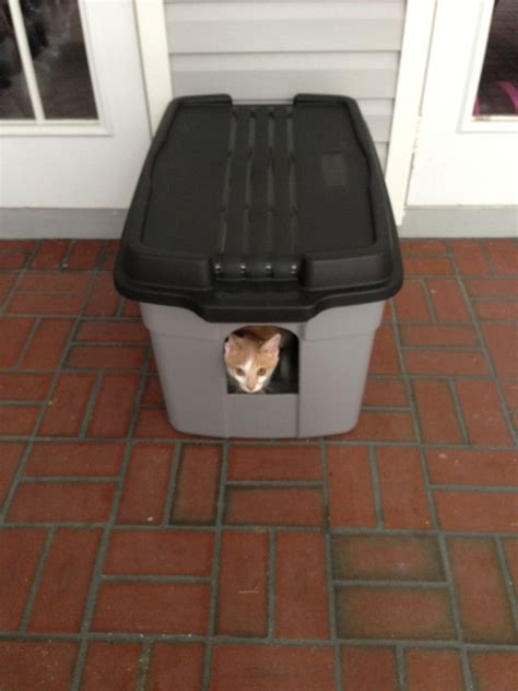 This is a great alternative to an ordinary, small and messy litter box ...