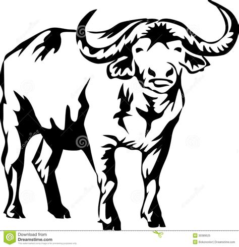 Illustration about Black and white illustration of the water buffalo. Illustration of bush, horn ...