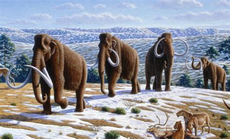 Woolly Mammoths’ Extinction In Canada Happened Just 5,000 Years Ago