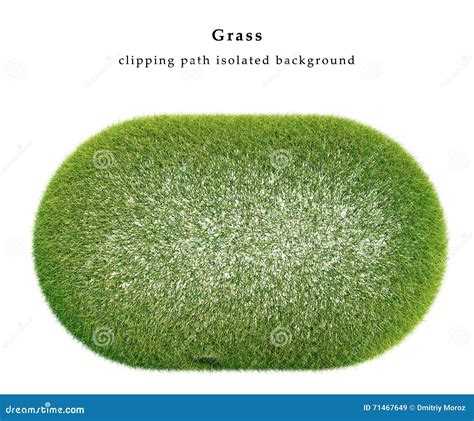 Dry grass isolated stock illustration. Illustration of grow - 71467649