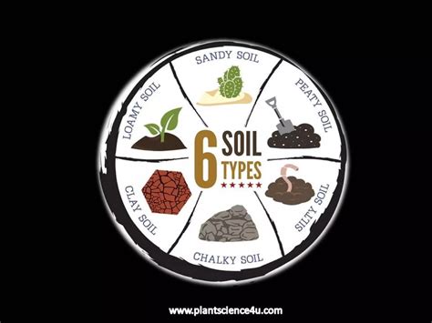 Soil Types | PPT