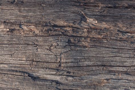 Free Rotten Wood Textures | Freebies | Stockvault.net Blog