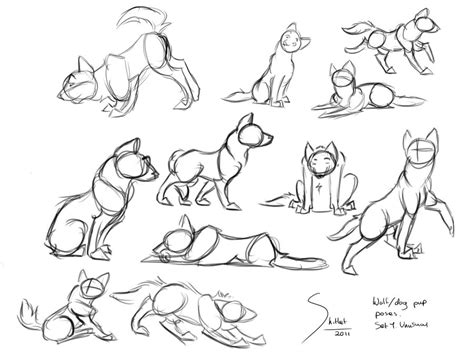 Pin by Kalli Bear on How To Draw | Animal drawings, Drawings, Sketches