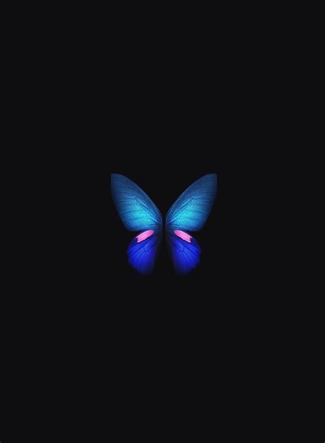 Light Blue Butterfly Background