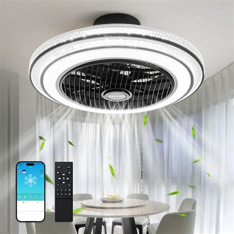 XuanDe Ceiling Fans with Lights and Remote Quiet, 20" Enclosed Ceiling ...