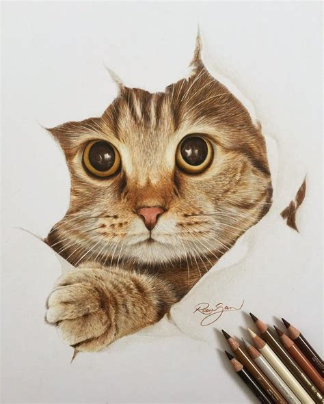 colored pencil portraits pet - Jewell Mahoney