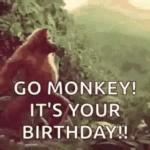 Happy Birthday Orangutan Gif