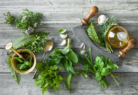 Think Green! The Benefits of Fresh Herbs | Heinen's Grocery Store