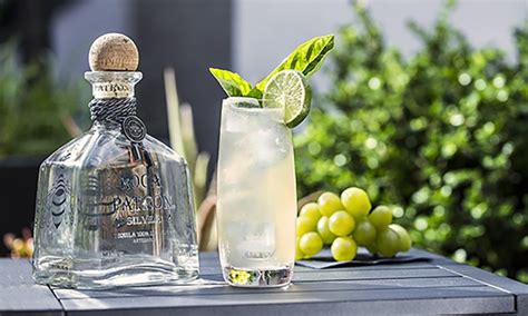 How to Make a Patrón T&T | Patrón Tequila