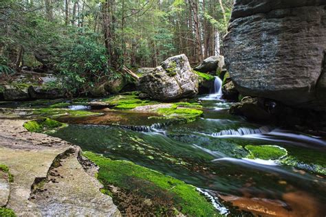 Blackwater Falls State Park USA - Images n Detail