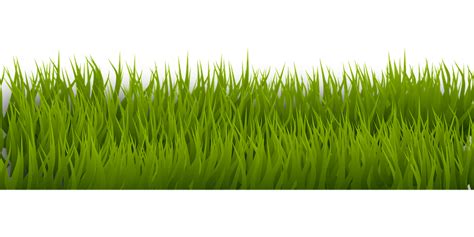 Background Border Grass · Free vector graphic on Pixabay