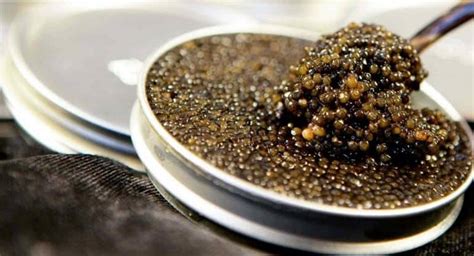 What Does Beluga Caviar Taste Like? – ItsFoodtastic