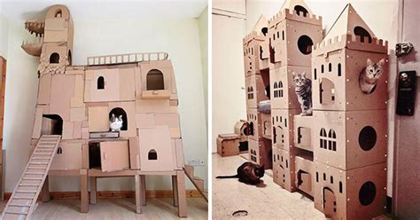 Instead Of Throwing Out Old Cardboard Boxes, People Are Turning Them Into Amazing Cat Forts (20 ...