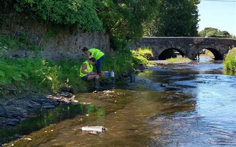 98 days to help the River Tamar - Westcountry Rivers Trust