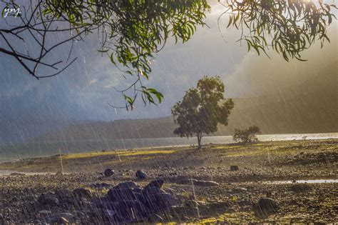 Divining Monsoon Rainfall Months in Advance with Satellites and ...