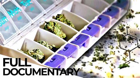 The 10 Best Documentaries About Weed - Documentarytube.com