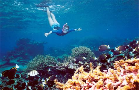 Snorkeling in Aruba? Let Adventure Sports handle all the arrangements.