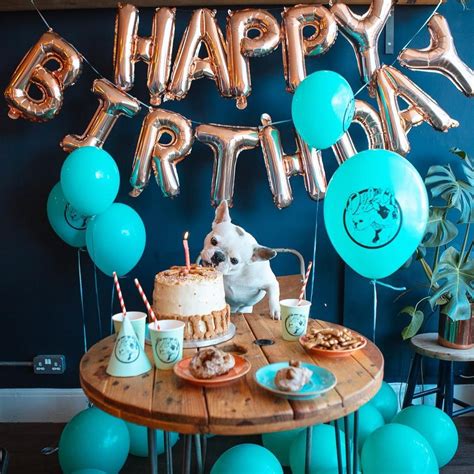 Awesome Dog Birthday Decoration Ideas! | Dog birthday pictures, Puppy ...