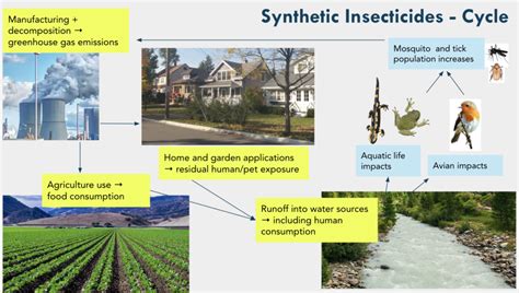 Environmental Impacts of Synthetic Chemical Application - Dara Scientific