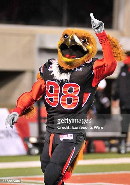 Tcu Mascot Photos and Premium High Res Pictures - Getty Images