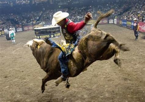 Why Do Some Bull Riders Prefer to Wear a Hat Instead of a Helmet - The ...